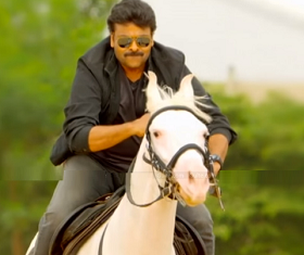 Chiranjeevi To Offer Special Pooja To Horses?