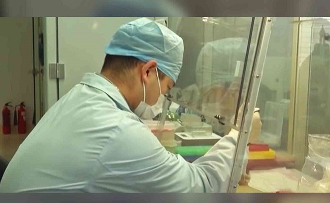 Wuhan lab intern accidentally leaked Covid-19 virus: US media