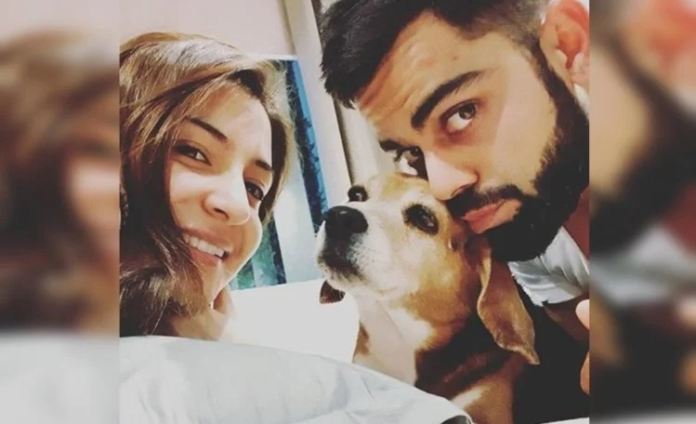 Virat and Anushka mourn the loss of their pet dog ‘Bruno’