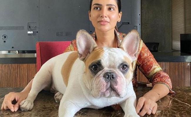 Samantha and her pet dog cannot be beaten in this job!