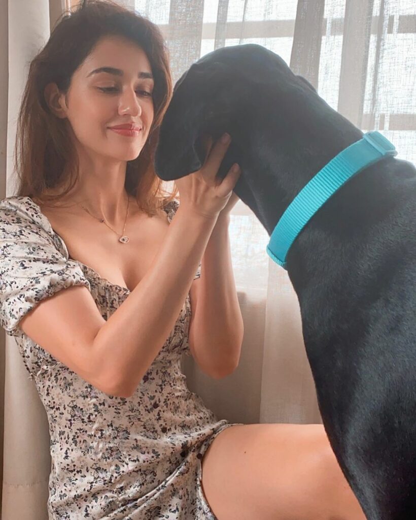 Pic Talk: Disha Patani Channels Dog Love
