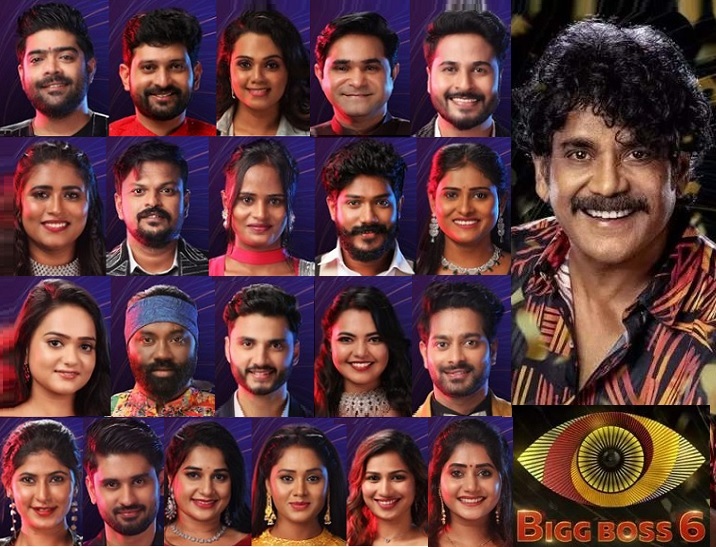 Who are the nominees for the fifth week of Bigg Boss season six