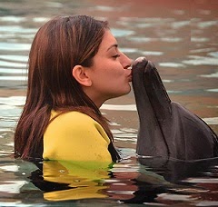 hansika1424626315