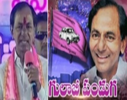 gulabi
