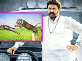 balayya