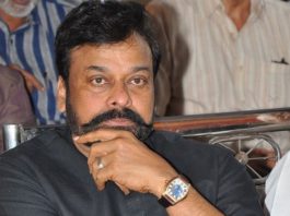 23-Chiru (42)14971795621508469138