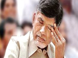 chandrababu71509529375
