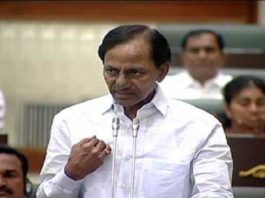 received_13357233532031931509597686