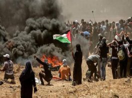 gaza