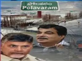 pola